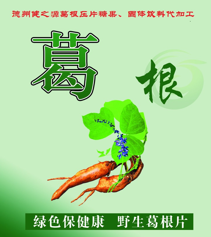 葛根，男女通用的人體調(diào)理專(zhuān)家