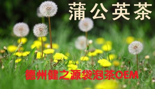 蒲公英茶，今天您喝了嗎？