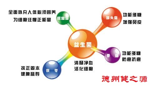 夏天腸胃問(wèn)題頻發(fā)，您應(yīng)該用益生菌了