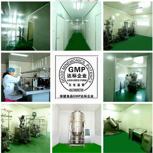 壓片糖果的生產(chǎn)車間以及過(guò)程_德州健之源