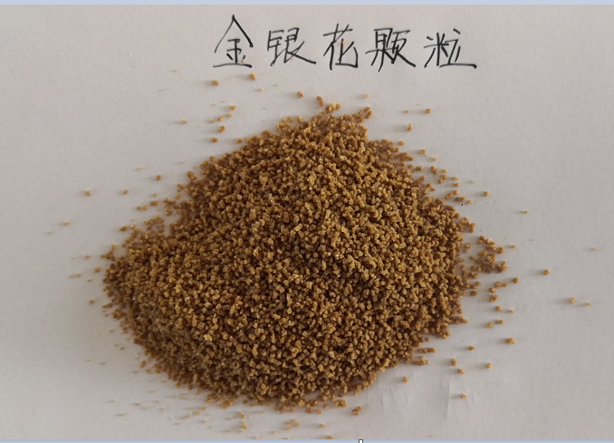 金銀花顆粒劑沖劑oem貼牌代加工廠(chǎng)家|德州健之源